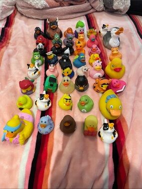 Assorted Rubber Duck Toy Lot - Multicolor